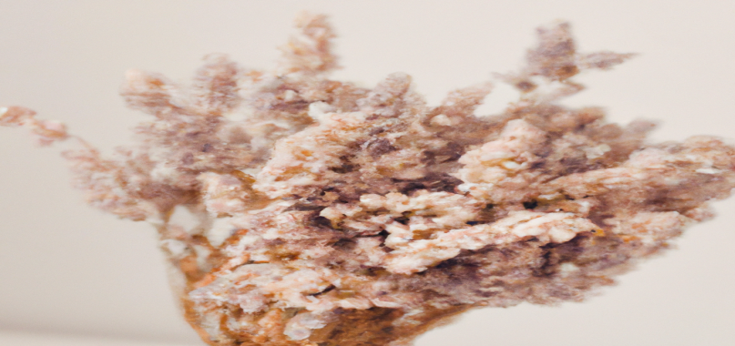 Les techniques de SEO pour une perte de poids durable, plus qu'une simple recommandation