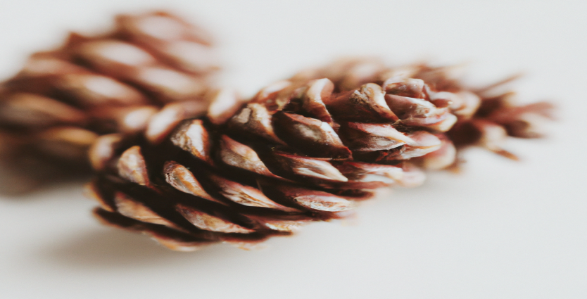 La perte de poids n'est pas seulement une affaire de régime, découvrez comment l'optimisation SEO peut vous aider