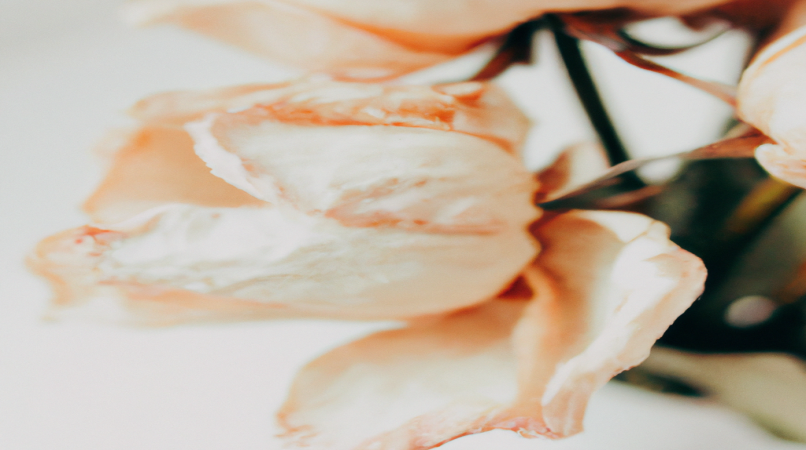 Laurent Delahousse dévoile son astuce perte de poids qui impressionne les experts - Avant