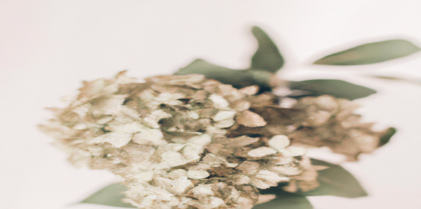 Perdre du poids sans frustrations grâce à XXX - Avant