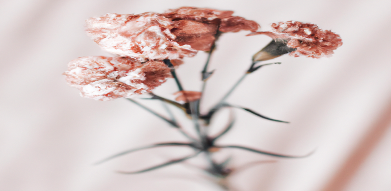 Retrouvez une silhouette svelte et énergique grâce à nos conseils sur la perte de poids