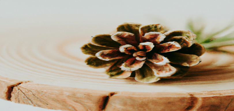 Les meilleures astuces minceur pour brûler les graisses