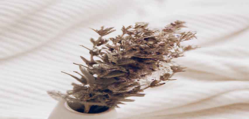 Les meilleures astuces minceur pour brûler les graisses