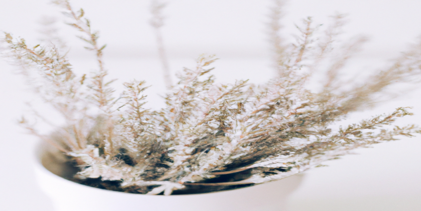 Les meilleures astuces minceur pour brûler les graisses