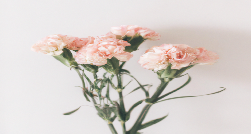 Les meilleures astuces minceur pour brûler les graisses