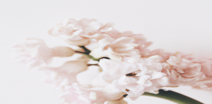 Prêt à dire adieu à vos kilos en trop ? Découvrez notre guide ultime !