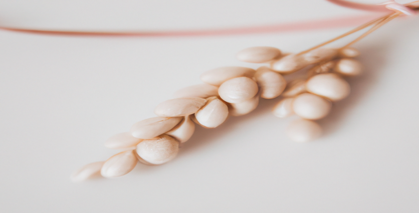 La vérité sur la perte de poids : découvrez les erreurs à éviter pour réussir !