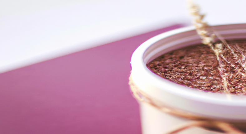 Plan perte de poids OPTIMISÉ : retrouver de l’énergie spécial débutants