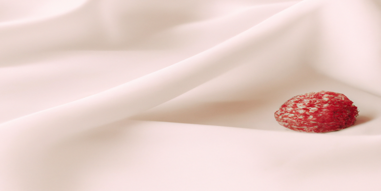 Coaché par Barbara Opsomer : Approche gagnante pour garder la ligne