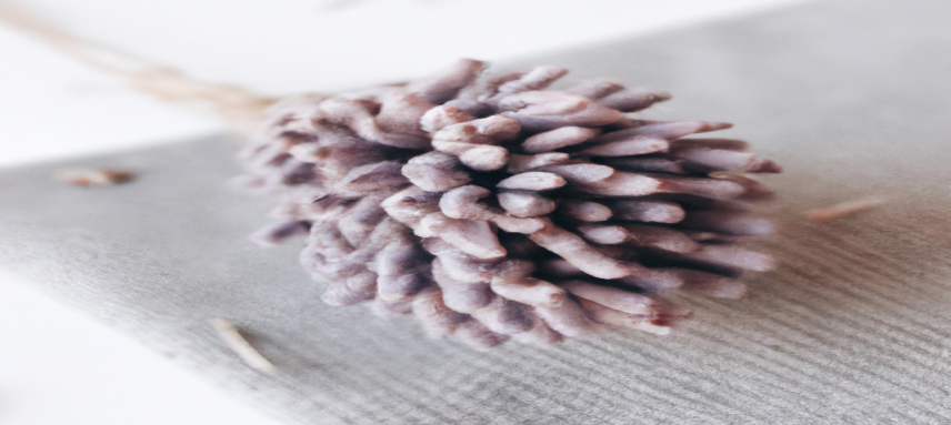 Méthode validée : brûler la graisse abdominale en 14 jours — spécial perte de poids