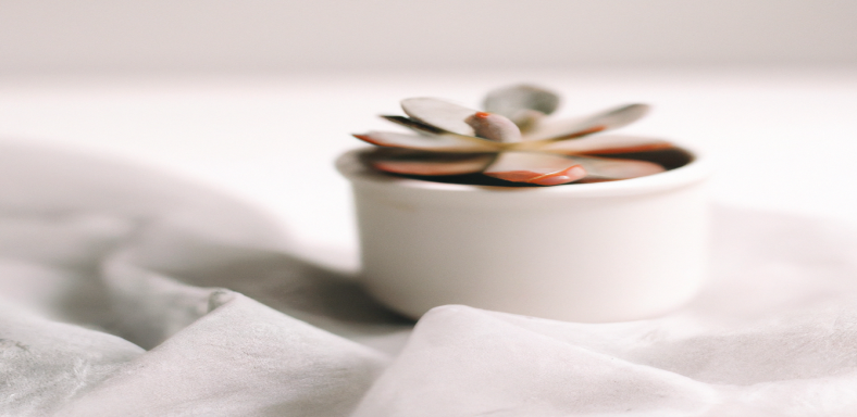 Découvrez comment perdre du poids rapidement avec les conseils de notre expert SEO