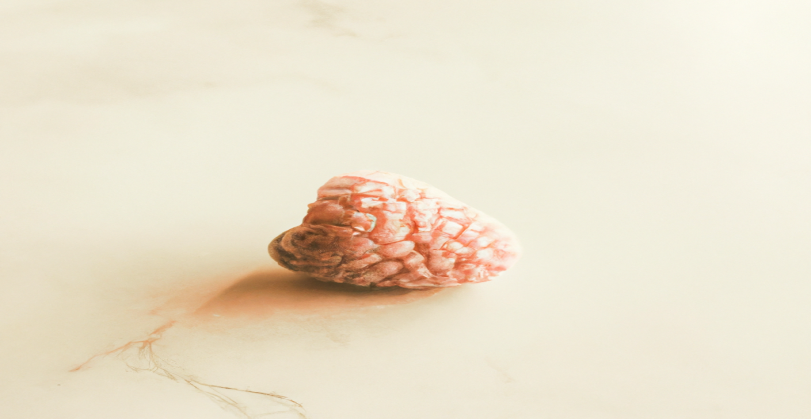 7 astuces étonnantes pour perdre du poids rapidement !