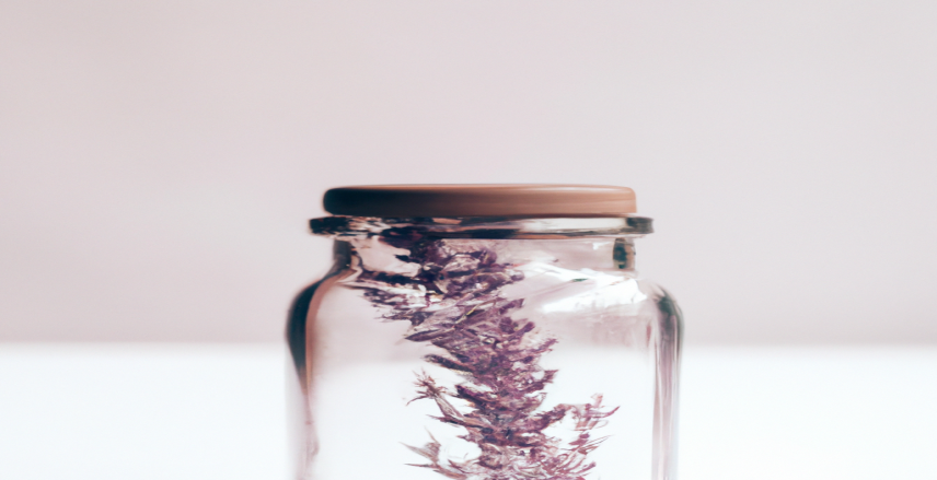 Le {hook.lower()} qui aide à accélérer le métabolisme sans compter les calories