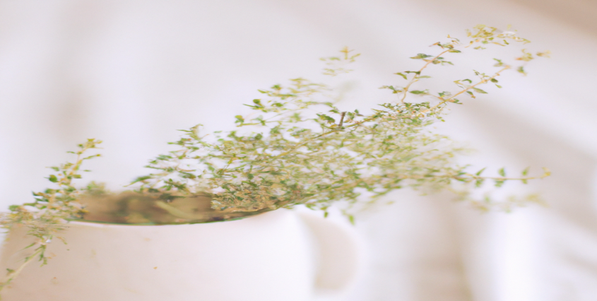 Le guide ultime pour perdre du poids sans se priver