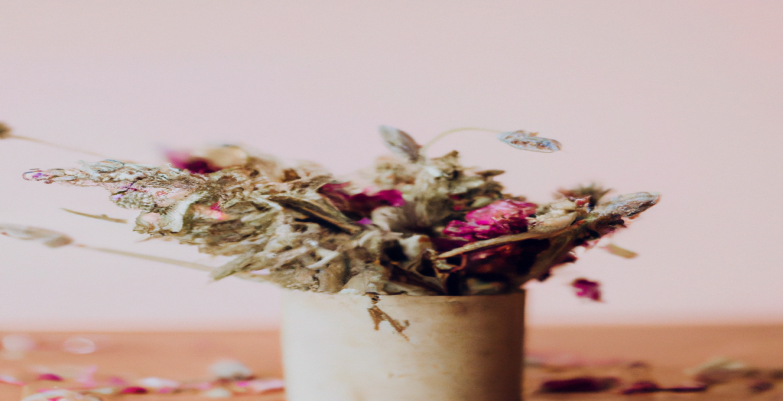 Cétose DURABLE : Plan durable pour tenir dans la durée