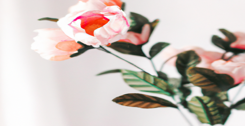 Mincissez facilement avec notre programme de perte de poids personnalisé