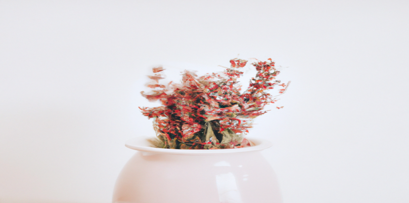 Découvrez comment perdre du poids avec notre méthode efficace