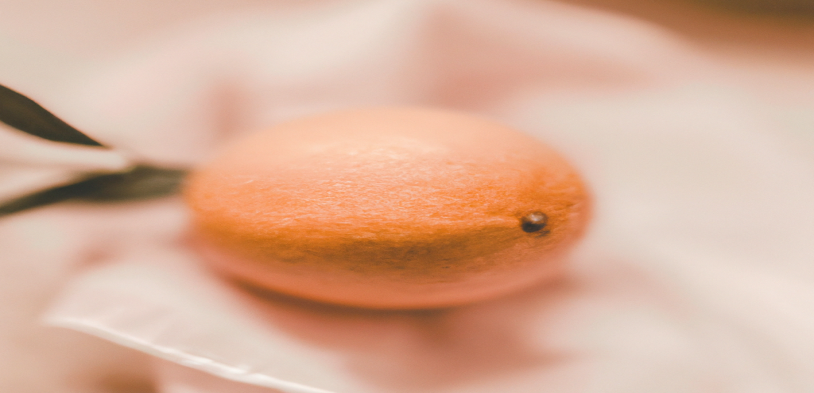 Maigrir sans se priver : les clés d'une perte de poids réussie