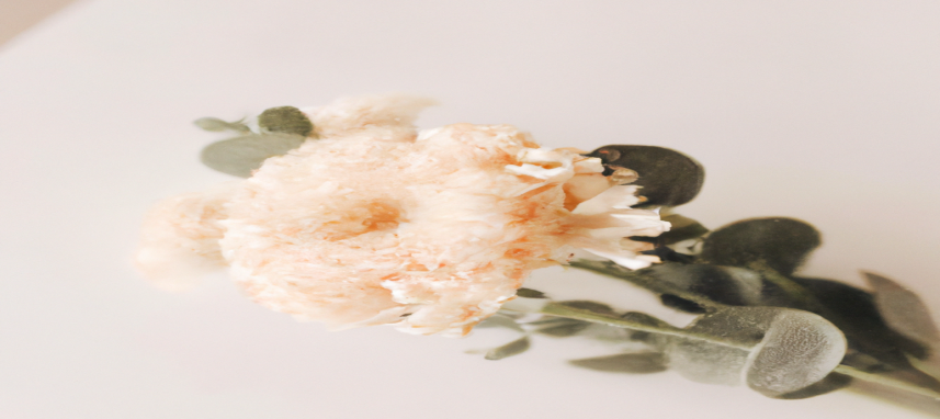 Maigrir sans se priver : les clés d'une perte de poids réussie