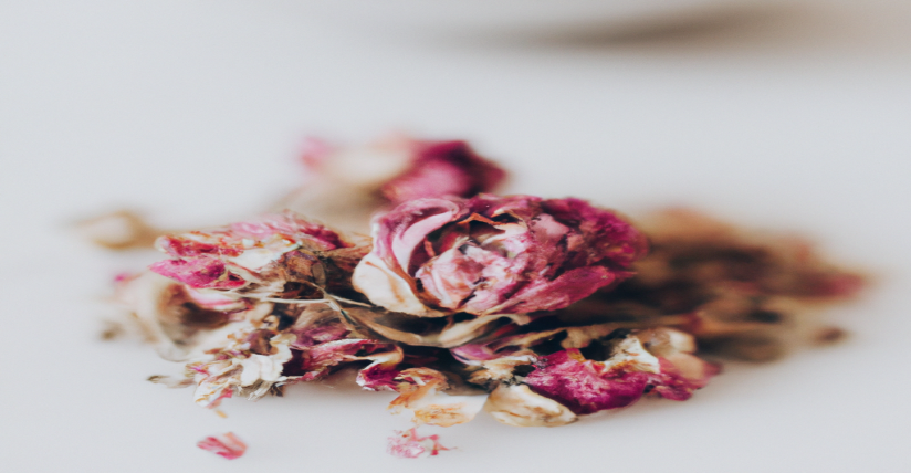 Les meilleurs exercices pour perdre du poids efficacement