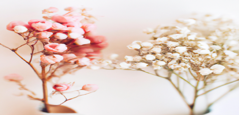 Faire du sport pour perdre du poids : nos conseils pratiques