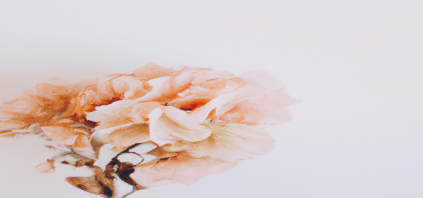 Comment perdre du poids rapidement avec des techniques simples et efficaces - Avant