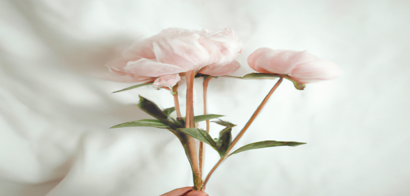 Les meilleurs exercices pour perdre du poids efficacement - Avant