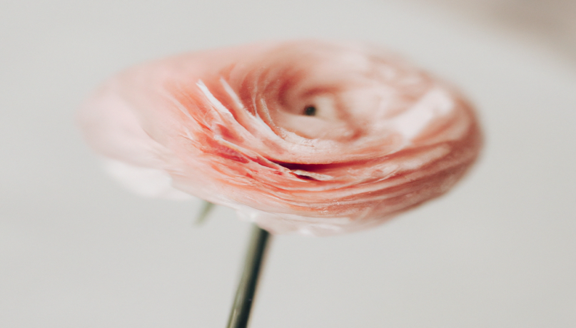 Perte de poids : les aliments à privilégier pour des résultats rapides - Avant