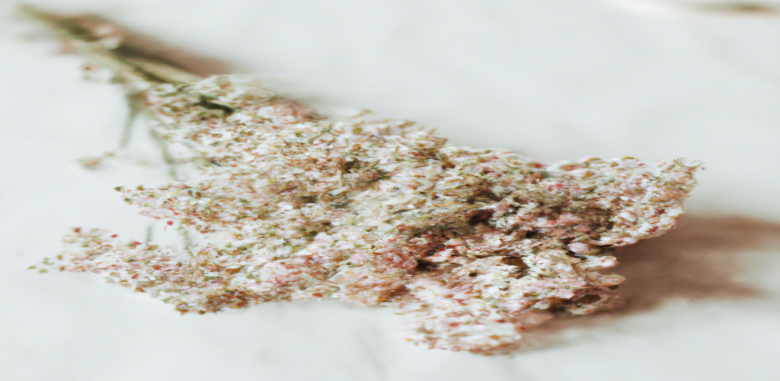 Perdre du poids rapidement en suivant nos astuces efficaces