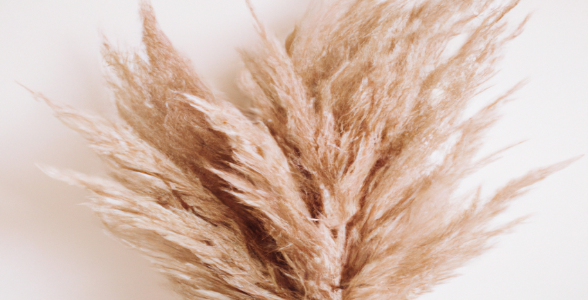 Transformez votre corps et votre vie grâce à nos stratégies de perte de poids