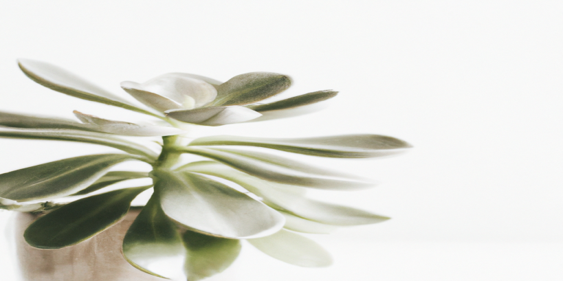 Transformez votre corps et votre vie grâce à nos stratégies de perte de poids