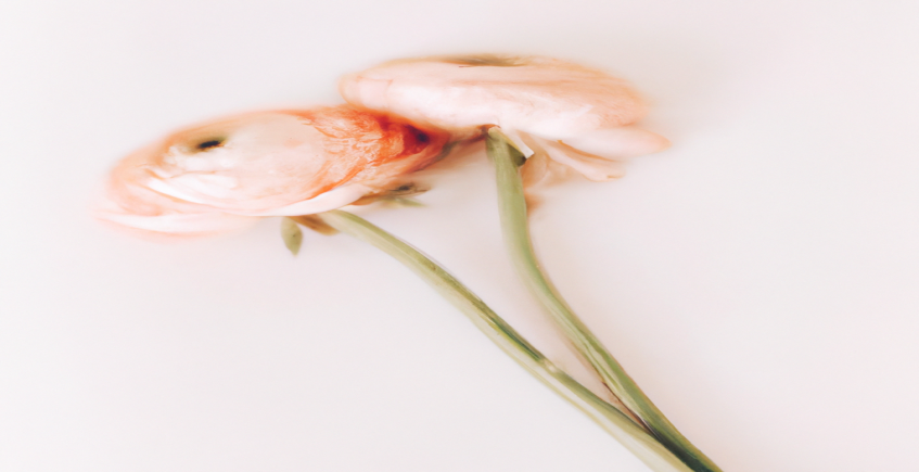 Transformez votre corps et votre vie grâce à nos stratégies de perte de poids