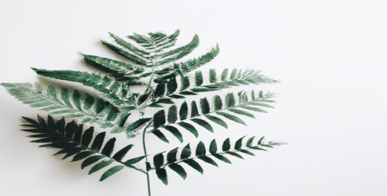 Les secrets d'une perte de poids durable : astuces SEO pour retrouver la forme