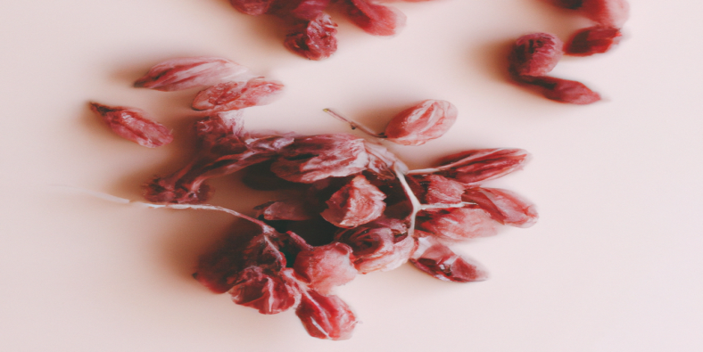 Ces erreurs SEO peuvent vous faire prendre du poids : apprenez à les éviter !