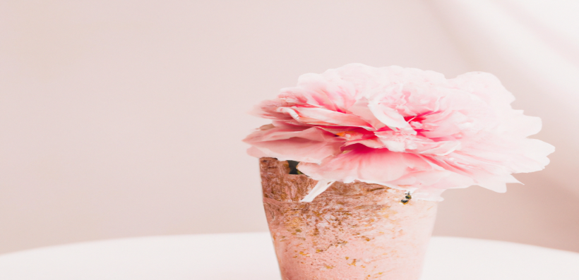 Devenez un pro en SEO et en perte de poids grâce à ces astuces incontournables