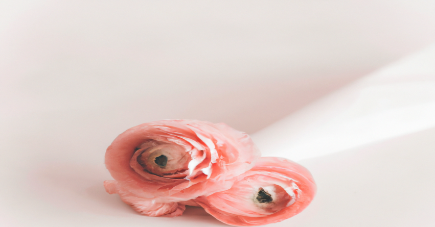 Les secrets d'une perte de poids durable : astuces SEO pour retrouver la forme