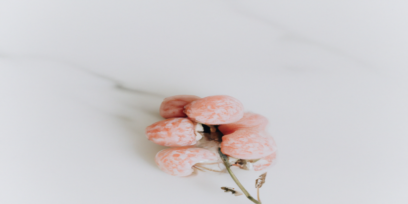 Comment atteindre ses objectifs de perte de poids avec un programme personnalisé