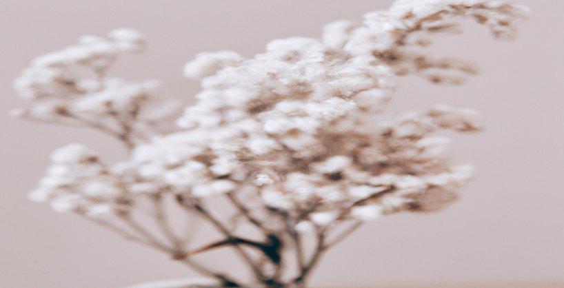 Les aliments à éviter pour perdre du poids efficacement