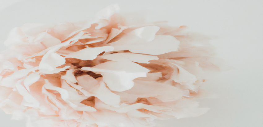 Les aliments à éviter pour perdre du poids efficacement