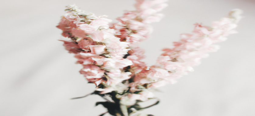 Comment atteindre ses objectifs de perte de poids avec un programme personnalisé