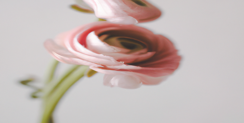 Perdre du poids rapidement avec ces 10 astuces infaillibles