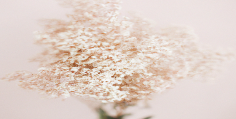 Les régimes les plus efficaces pour une perte de poids durable