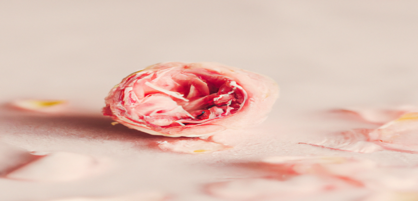 Transformez votre corps en seulement quelques semaines avec notre approche SEO dédiée à la perte de poids