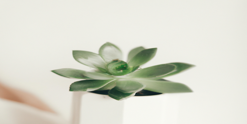 Manon Mogavero dévoile son astuce perte de poids qui impressionne les experts