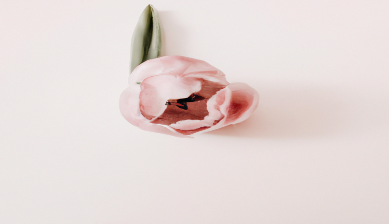 Manon Mogavero dévoile son astuce perte de poids qui impressionne les experts