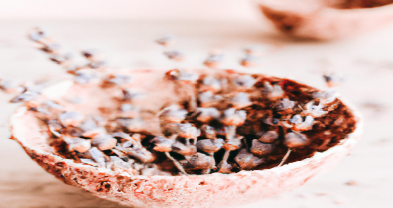 Emilie Amar dévoile son astuce perte de poids qui impressionne les experts