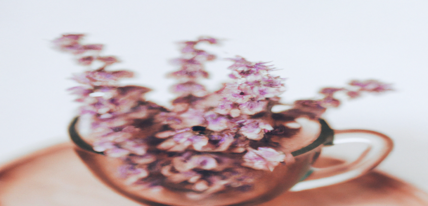 Réussir à maigrir sans frustration ni privation grâce à ces conseils