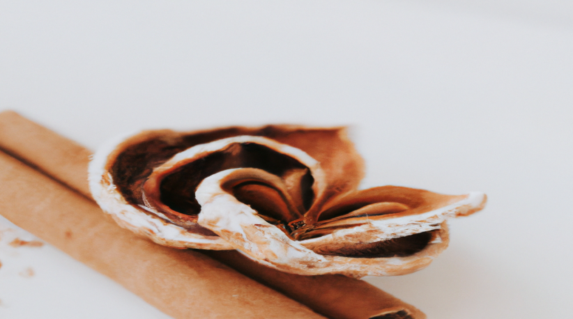 Les secrets d'une perte de poids durable : astuces SEO pour retrouver la forme