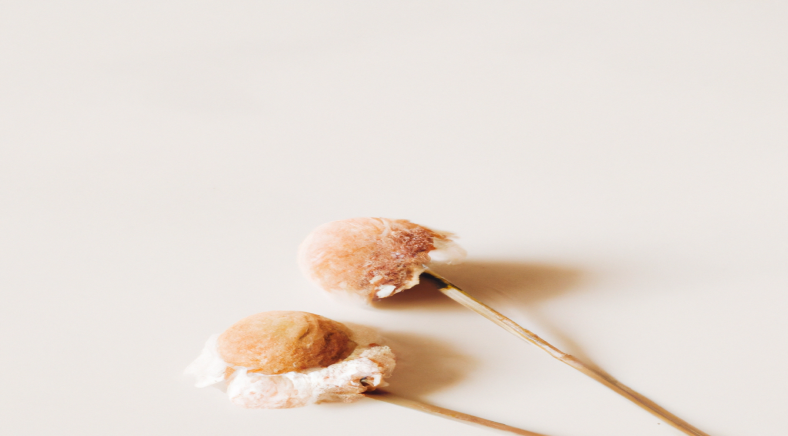 Devenez un pro en SEO et en perte de poids grâce à ces astuces incontournables