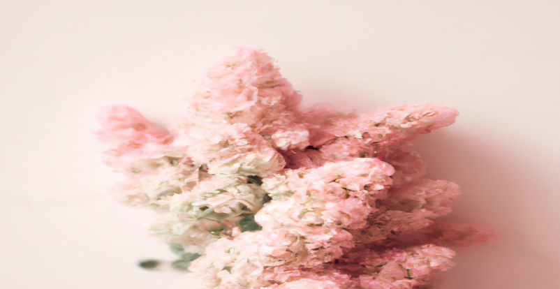 Devenez un pro en SEO et en perte de poids grâce à ces astuces incontournables